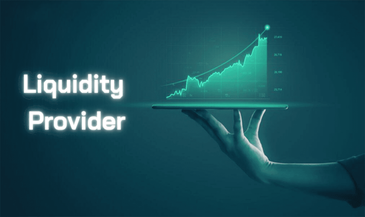 What exactly is a liquidity provider?