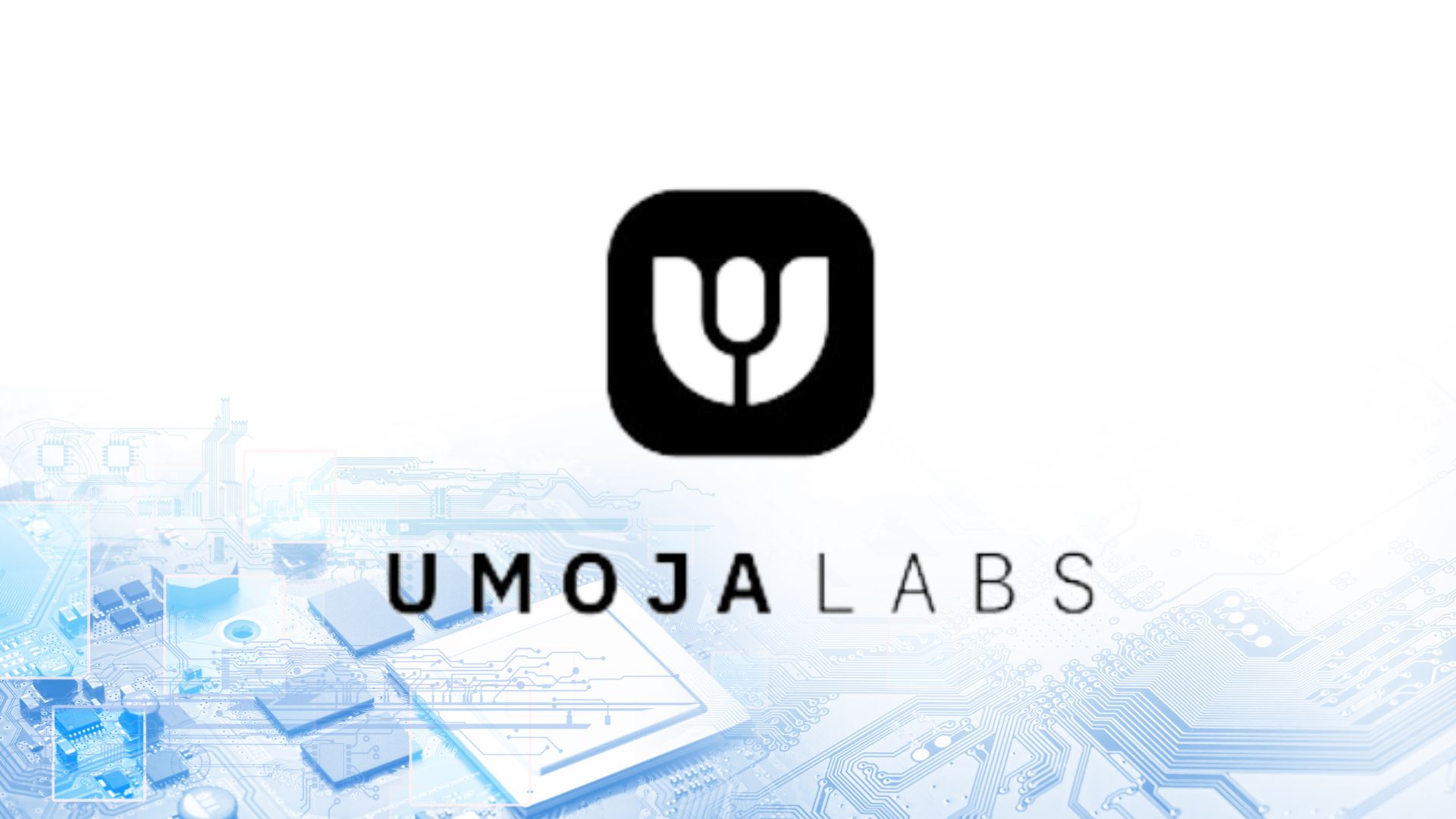 Umoja’s Beta Launch – A New Crypto Hedging Approach
