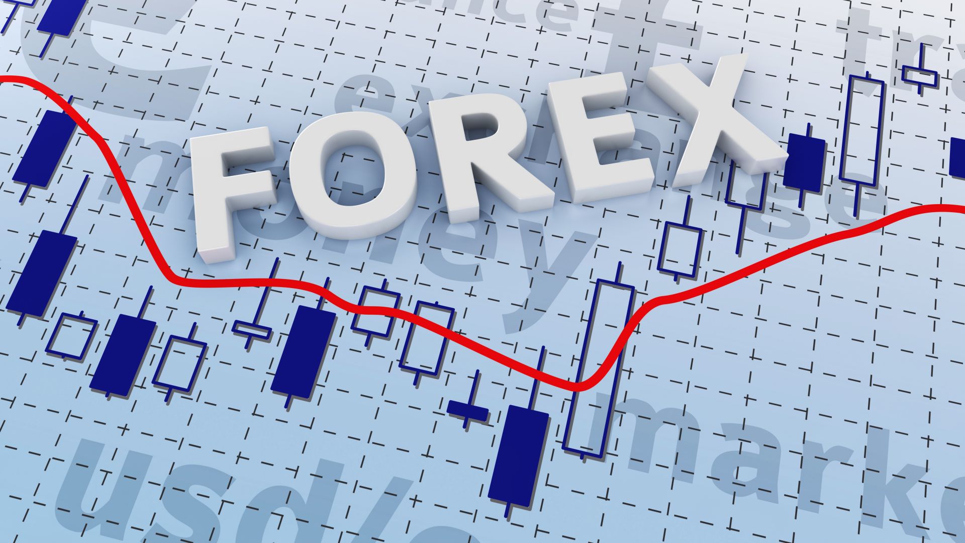 What is Forex License? Requirements and Its Categories
