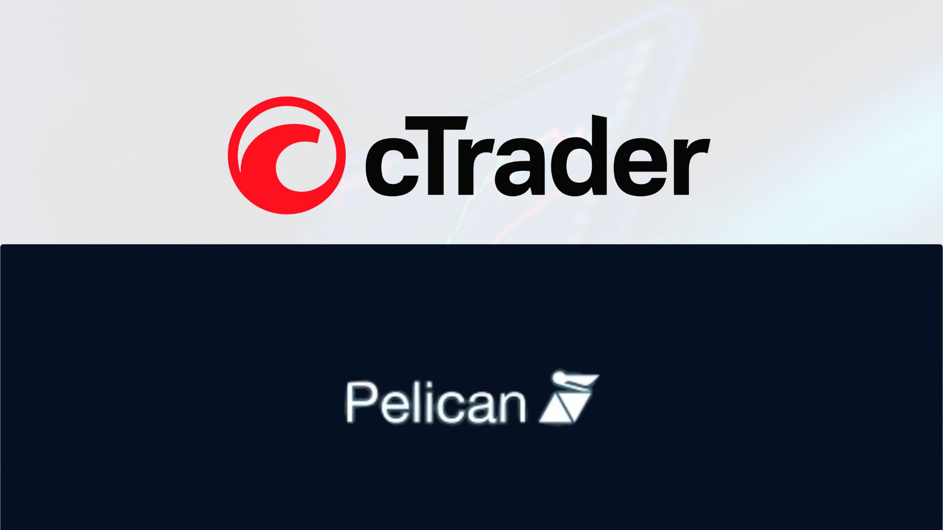 cTrader Partners with Pelican Network for Enhanced Copy Trading